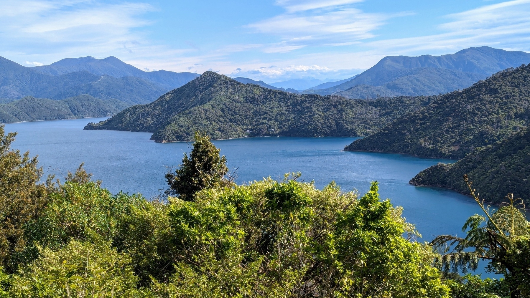 A view over forested hills and inlets in New Zealand