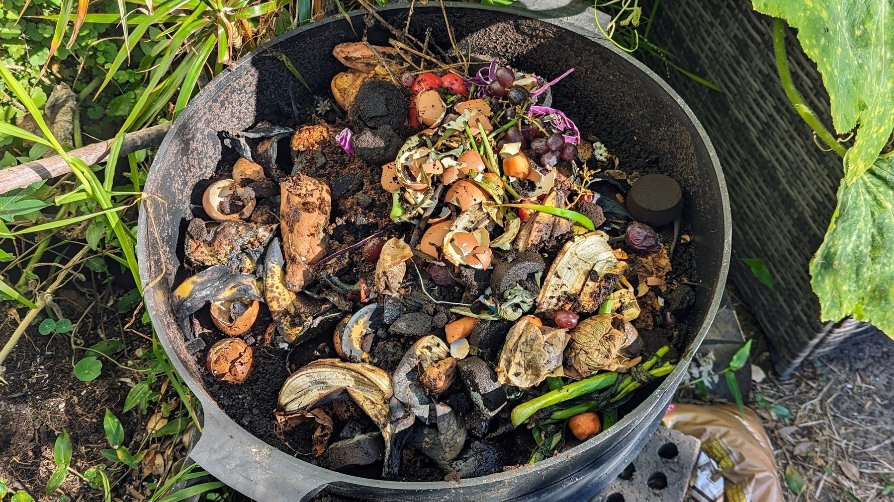 an open worm farm showing vegetable scraps but no worms