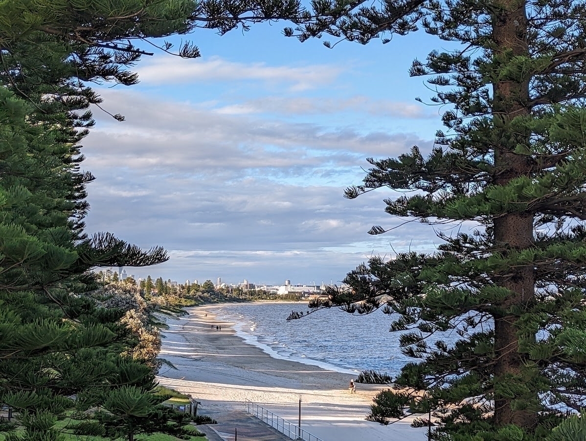 A view of the Botany Bay shore, with the Sydney CBD in the background 