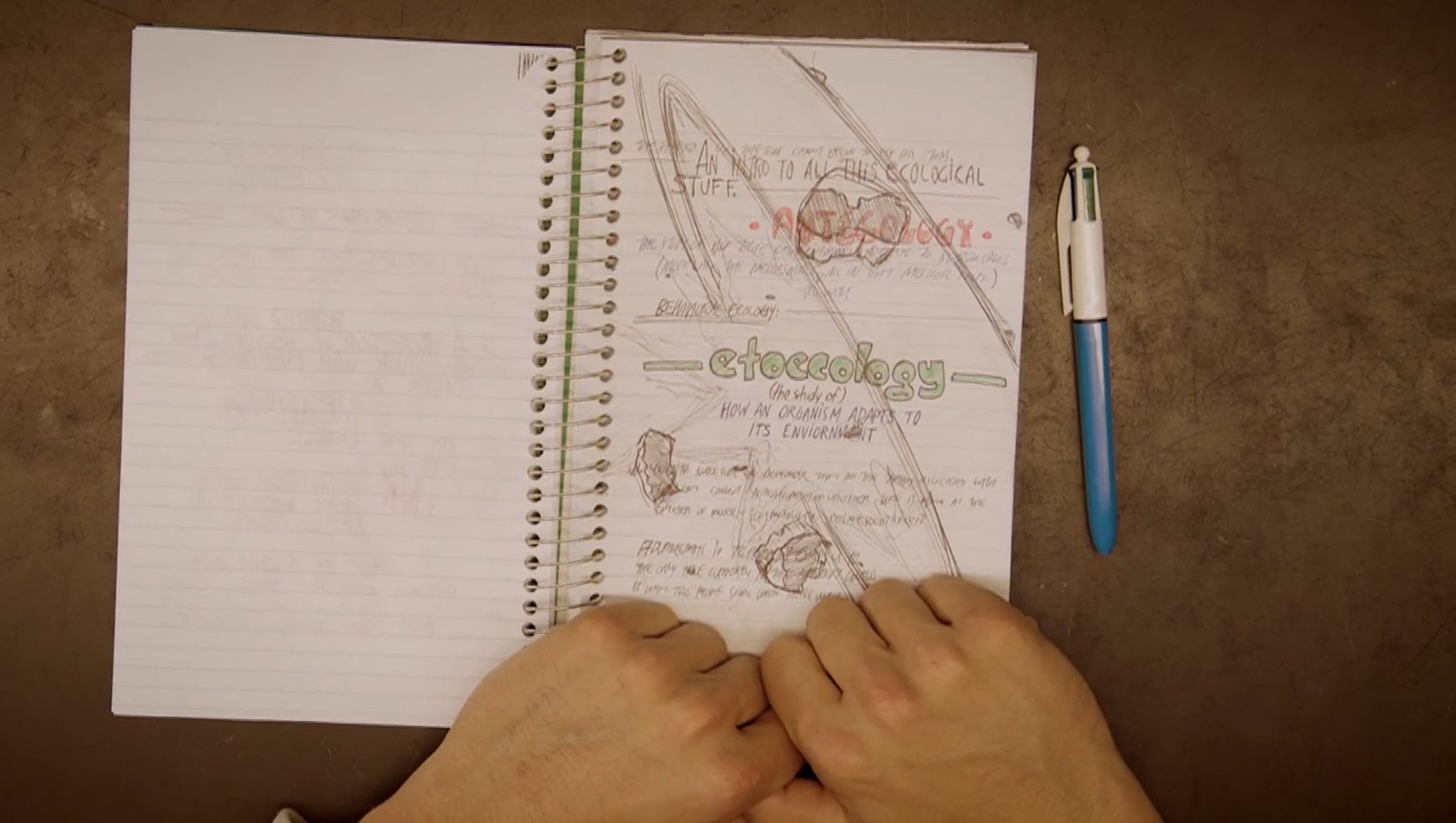 A still from the movie, Notes on Biology. A person is holding an open notebook with handwritten notes and drawings, alongside a blue and white pen on a table.