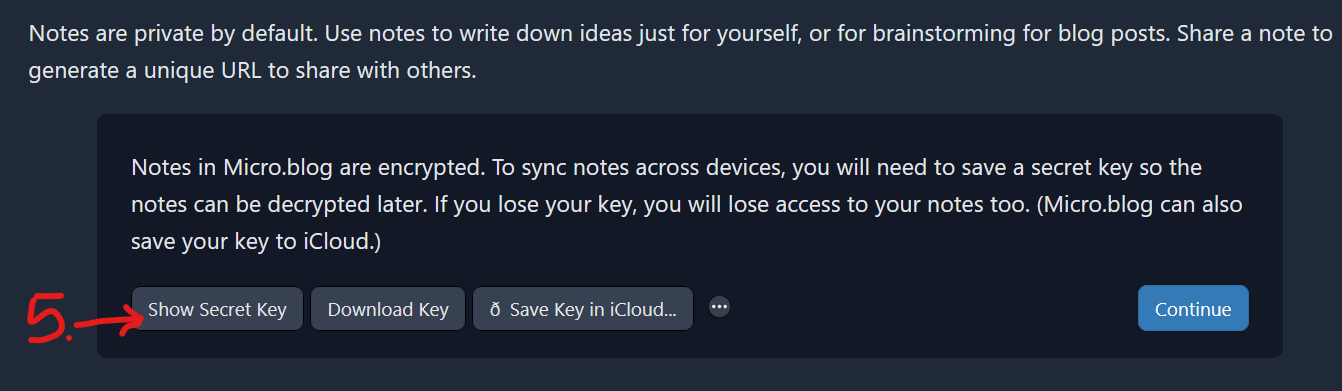 screenshot showing step 5, how to see the secret key that syncs encrypted notes in micro.blog to the Strata app 