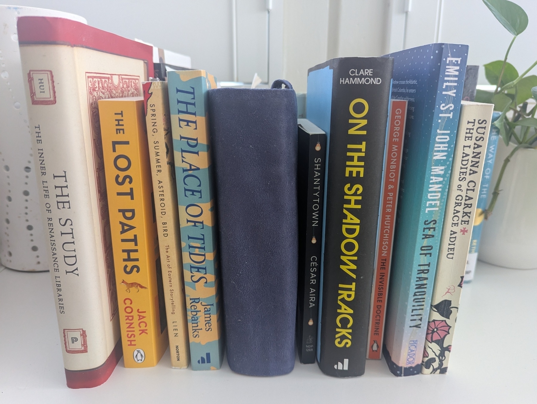 A collection of various books is neatly arranged on a white surface with a plant in the background.