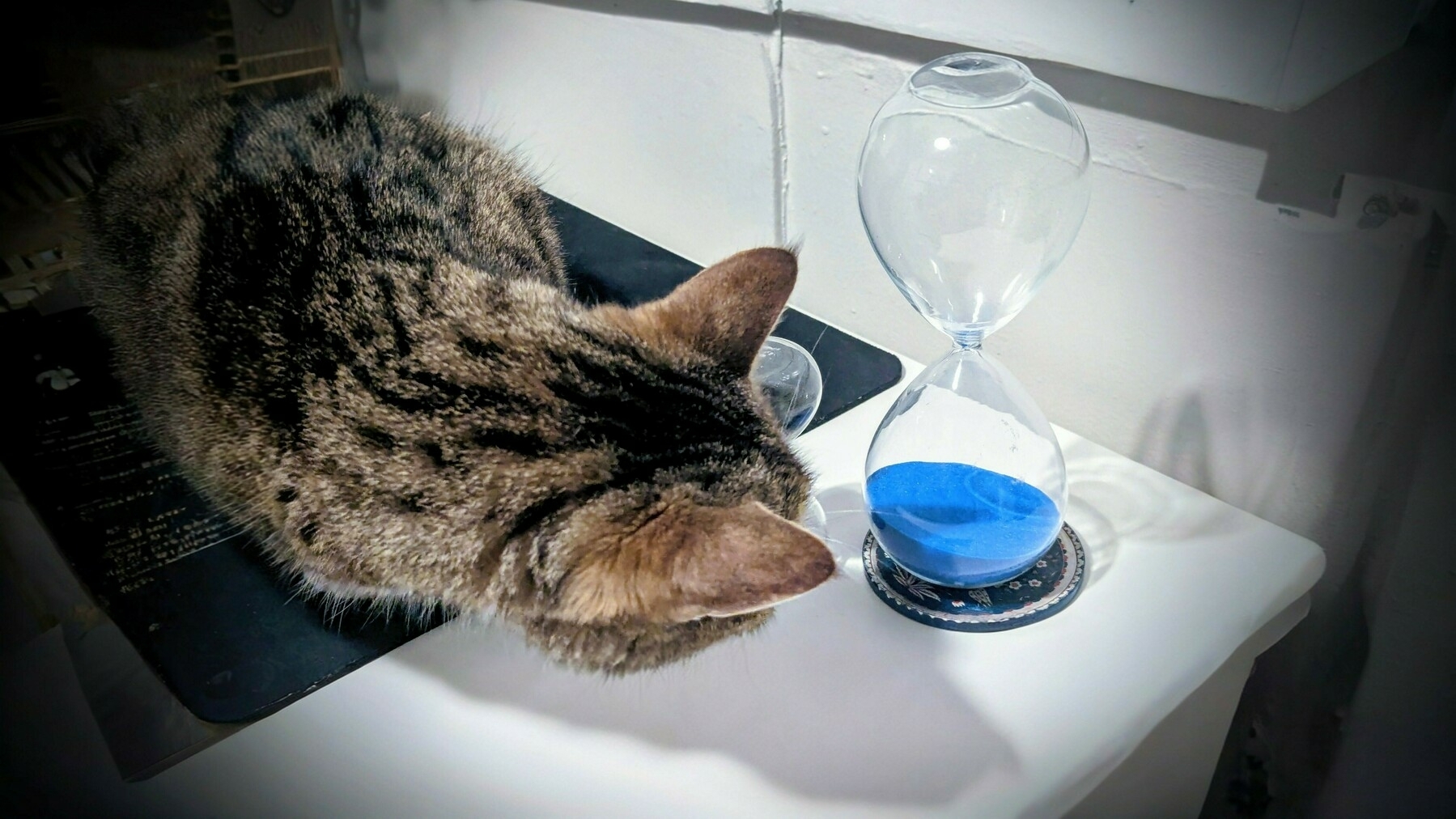 A cat is lying next to an hourglass filled with blue sand on a table.