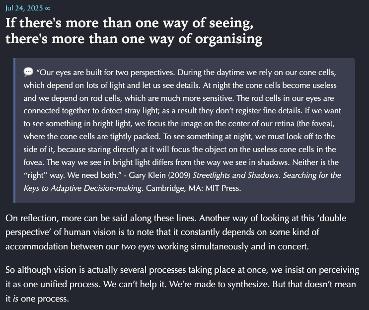 A post about different ways of seeing and organizing, emphasizing the need for multiple perspectives in understanding vision and incorporating insights for adaptive decision-making.