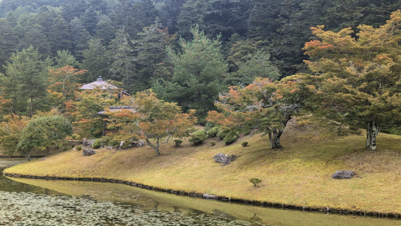 A tranquil Japanese garden scene features a pond bordered by trees with autumn foliage, set against a backdrop of dense forest.