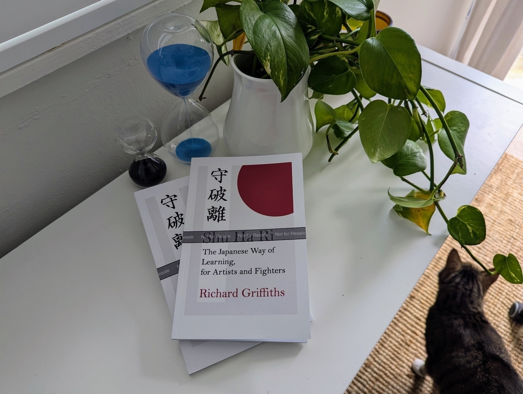 Two books labelled not for resale sit on a shelf with a plant and two sand timers, while below a cat walks past.