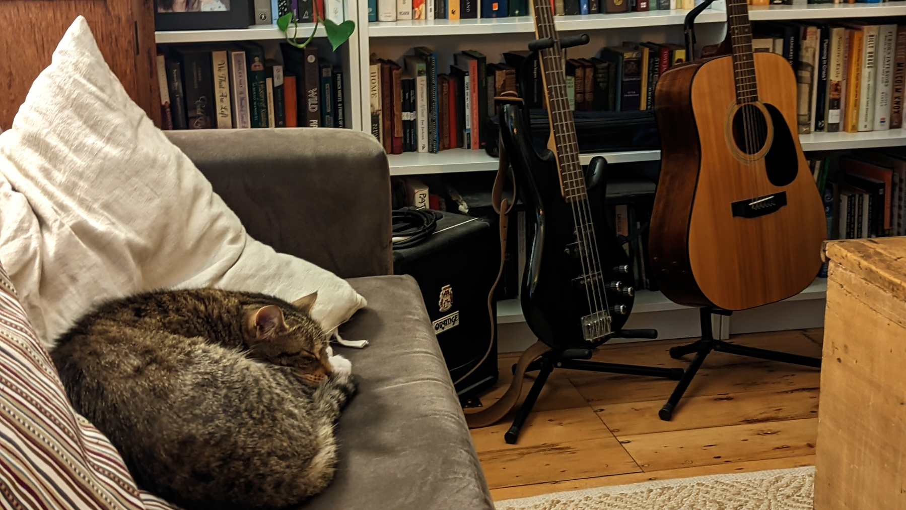 A cat is sleeping on a sofa in a room with shelves full of books and a couple of guitars on stands.