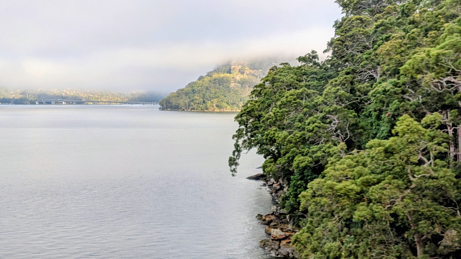 A serene landscape features a large body of water, lush green trees, and a distant mist-covered hill.