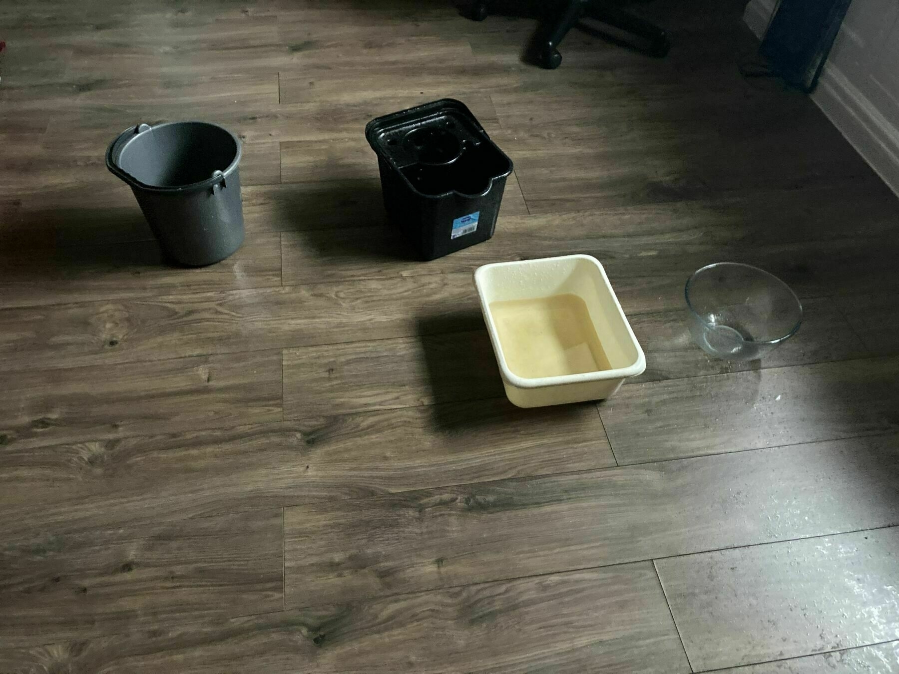 Two buckets and two bowls arranged on the floor to catch water from a leaking roof.