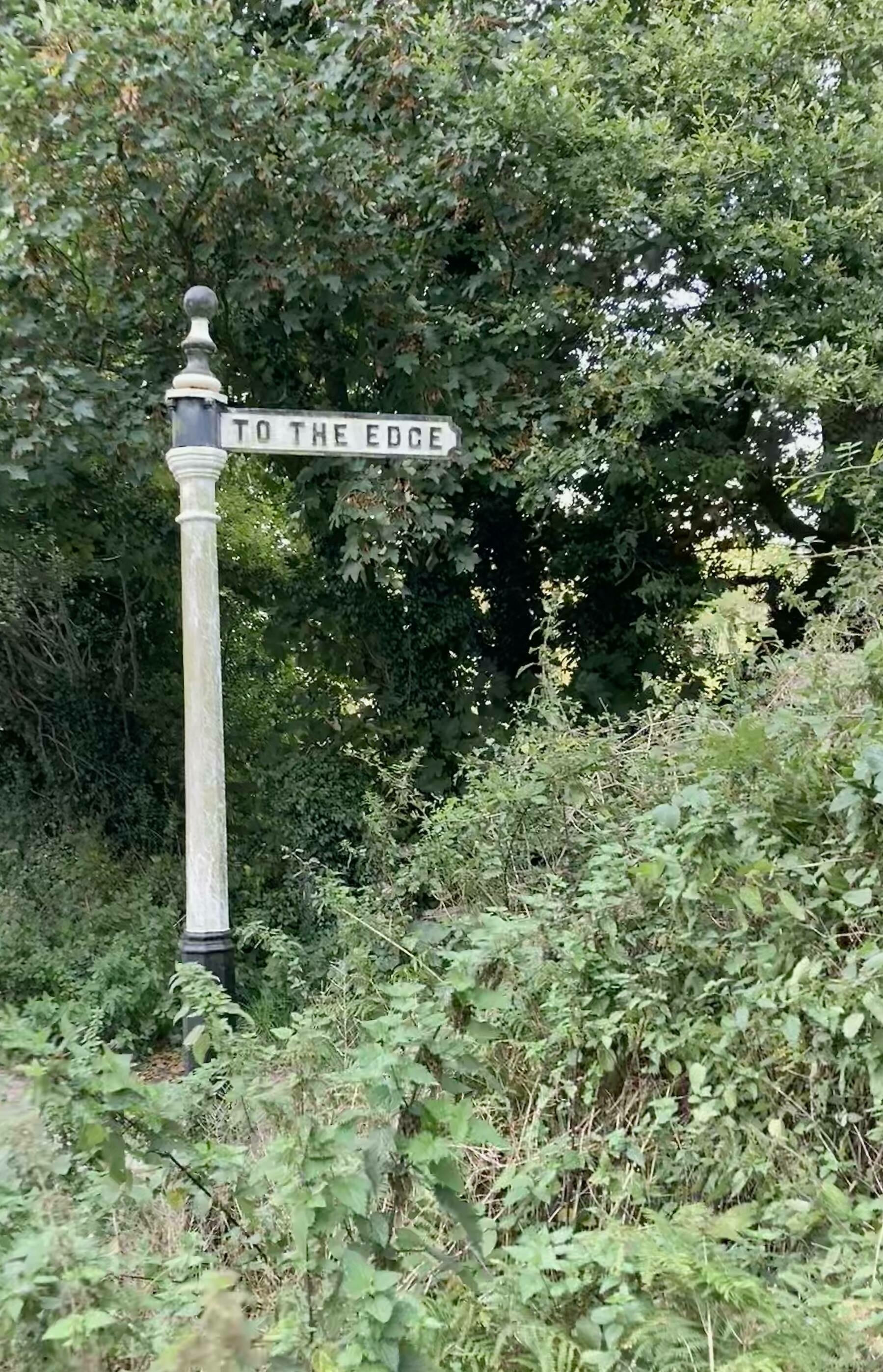 A signpost with the legend "To The Edge" denoting a pathway through trees.