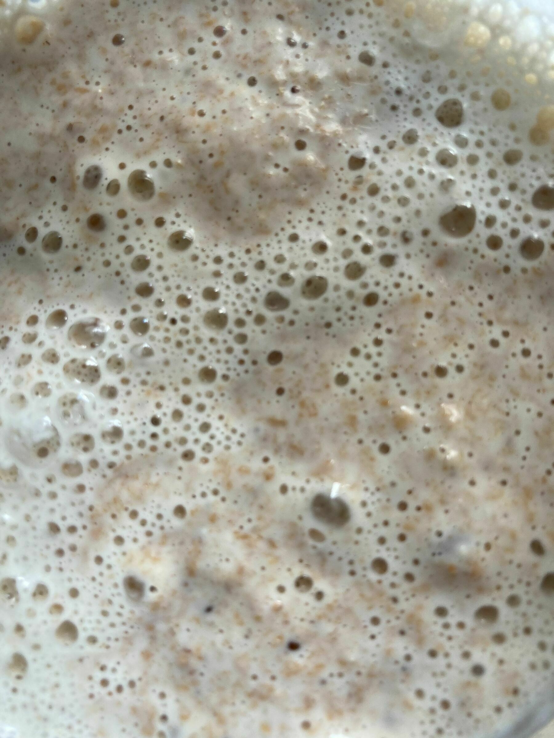 Thhe bubbling surface of a sourdough starter.