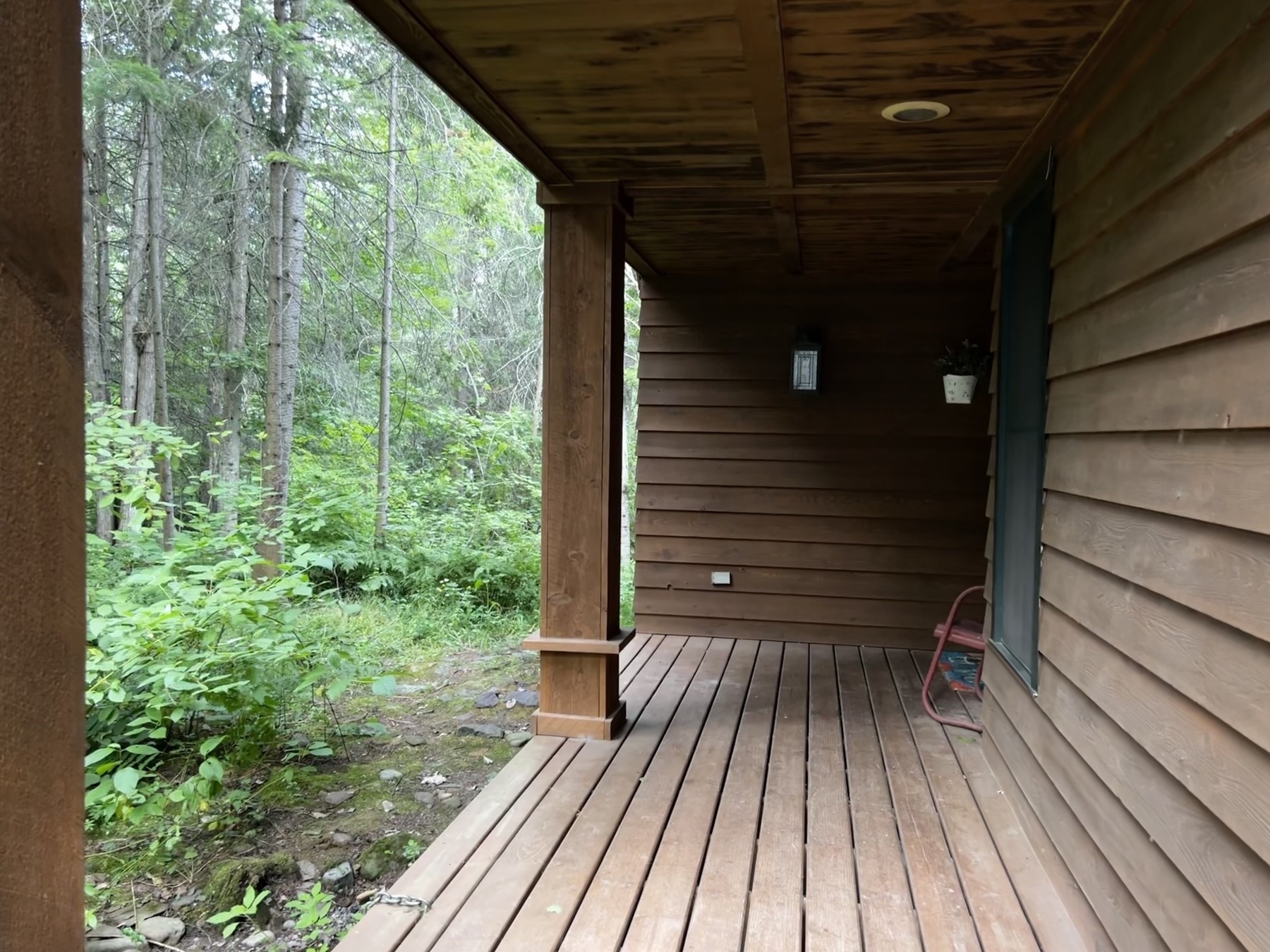 Front porch and forest