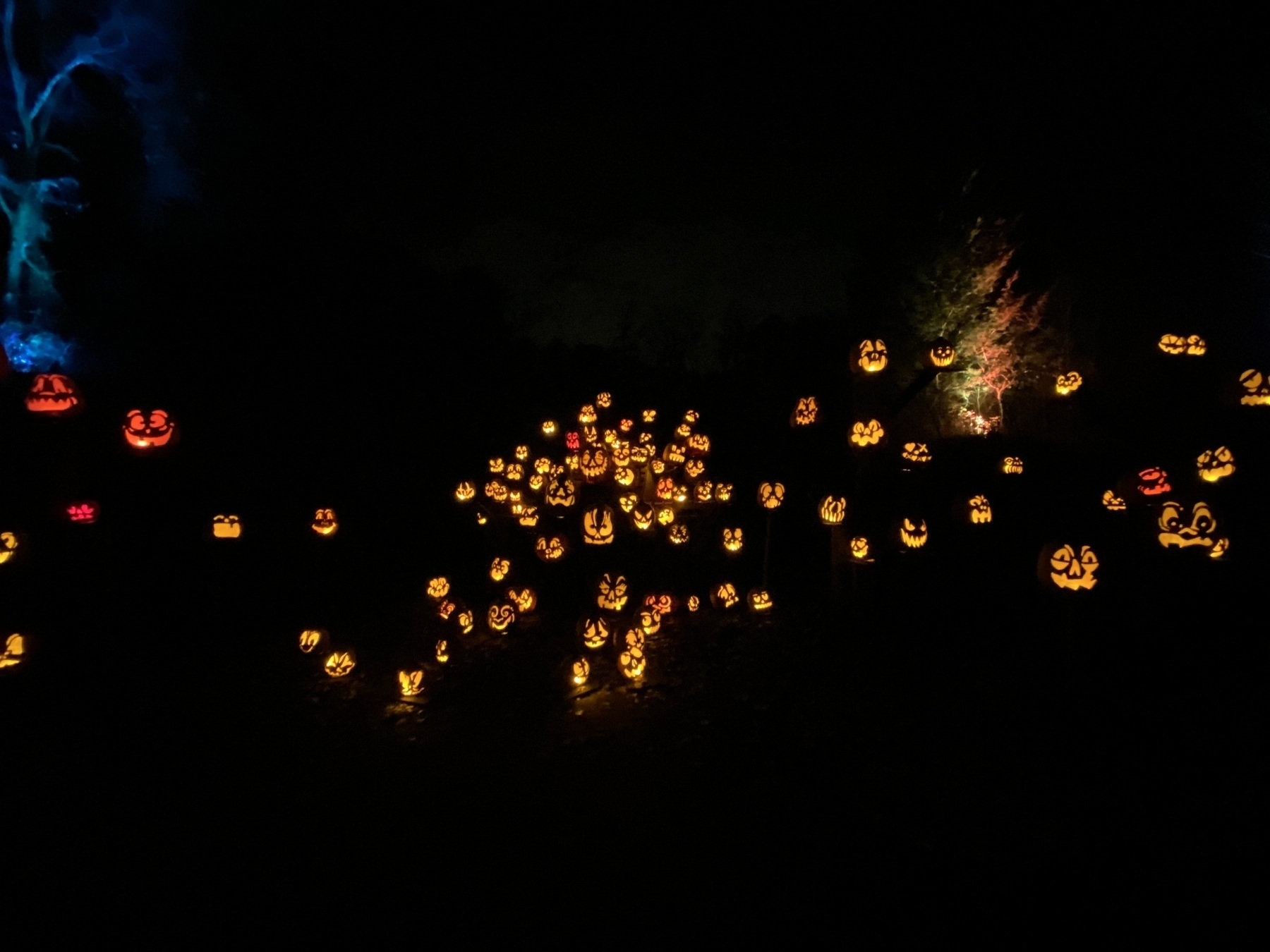 Jack o’ Lanterns at night