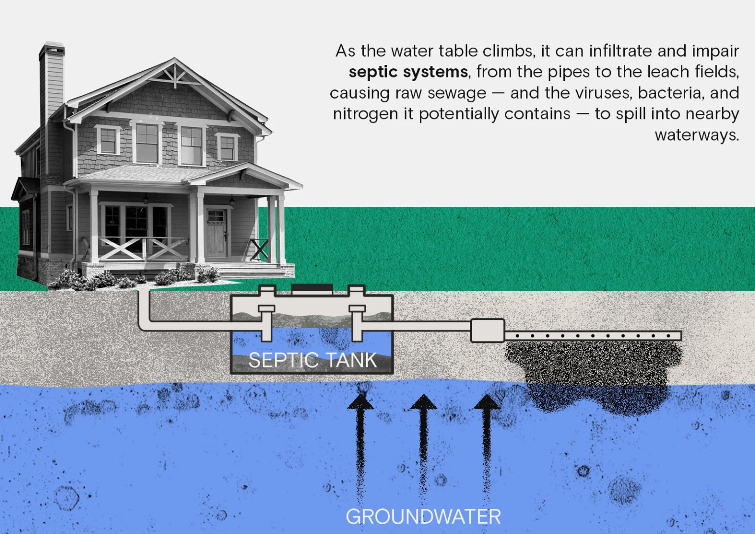 Septic tank infographic. Source: Grist. 