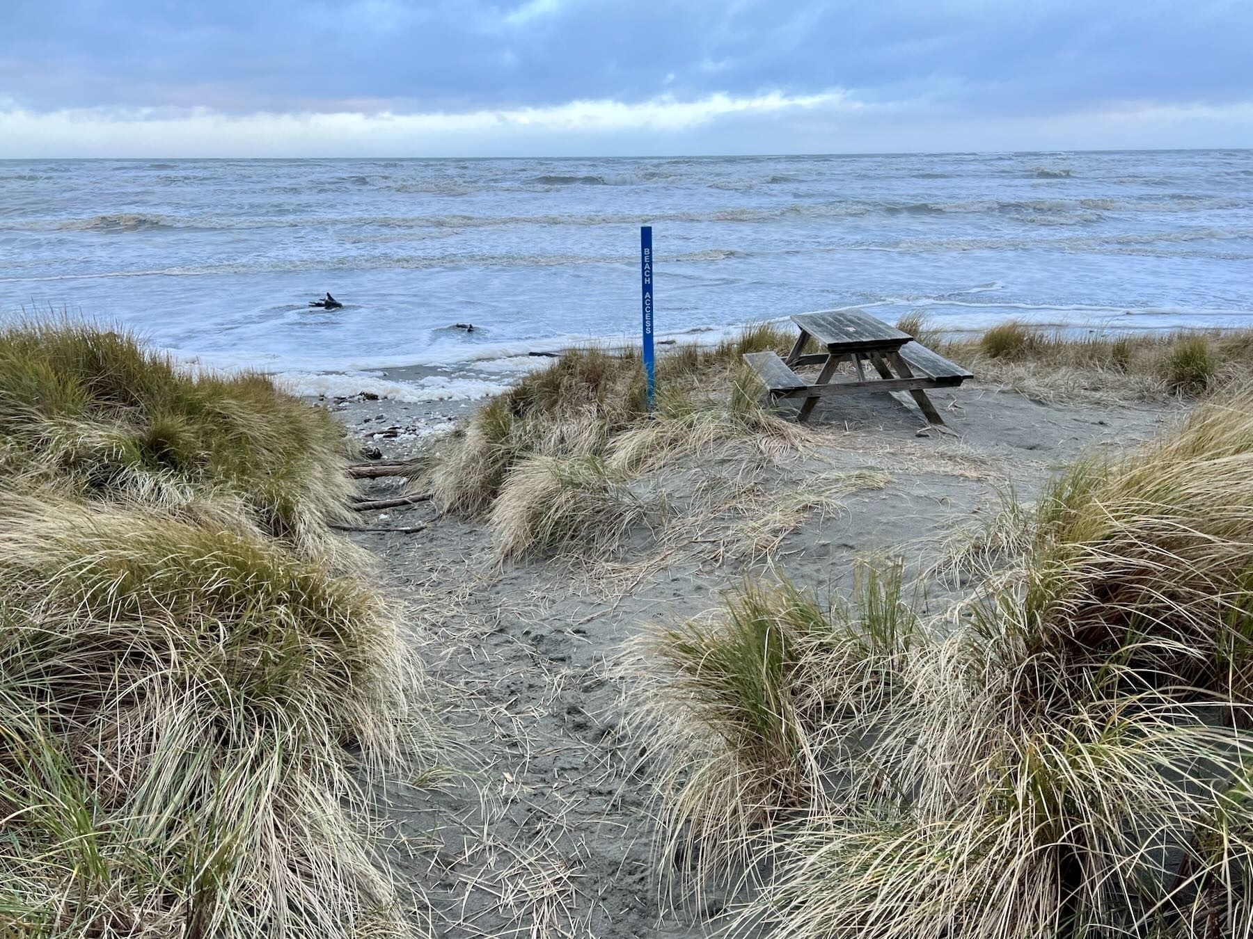 Picnic table atop a dune with sea at the base. 
