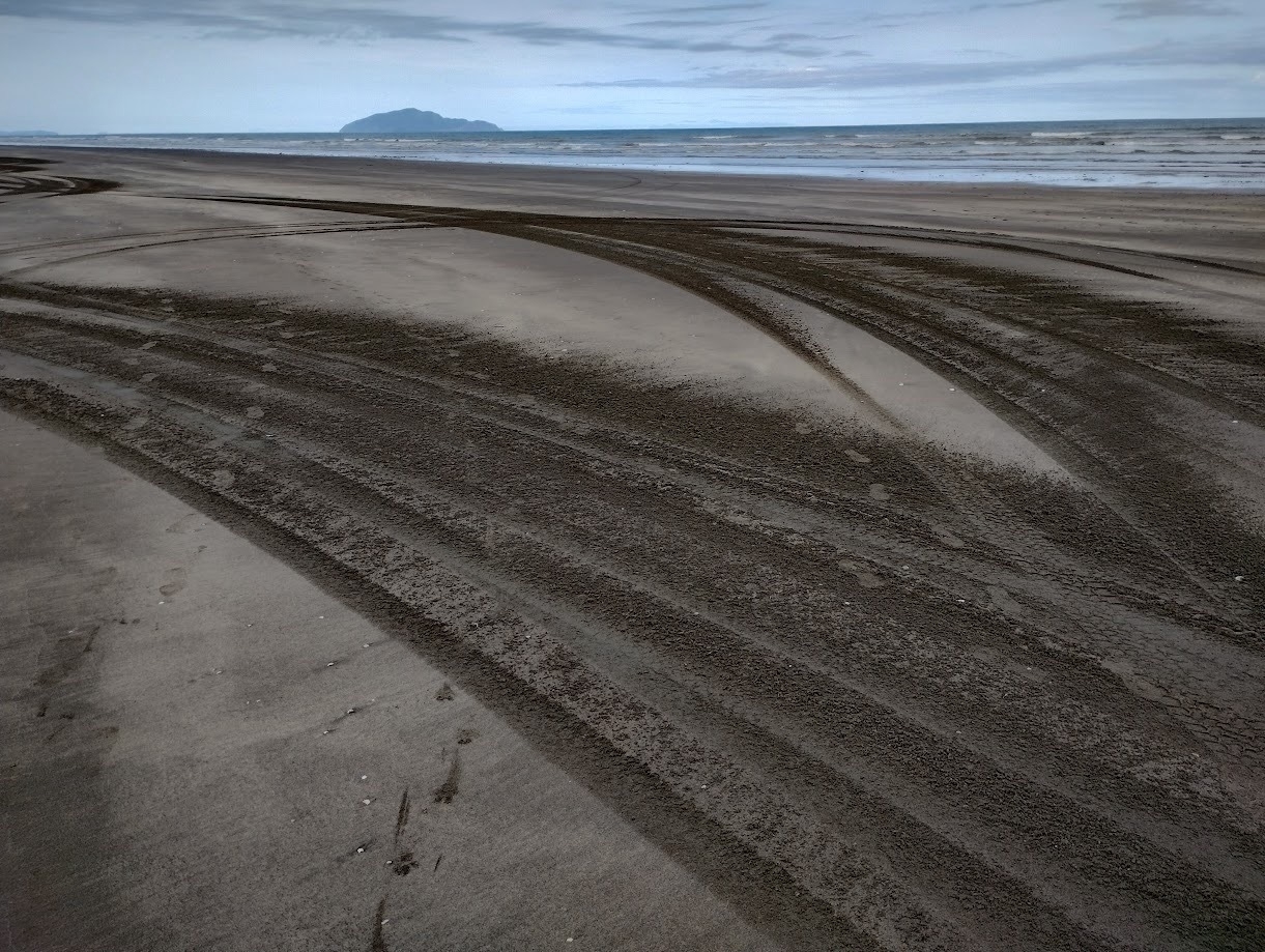 Multiple tire tracks in the sand, with Kāpiti Island in the background. 