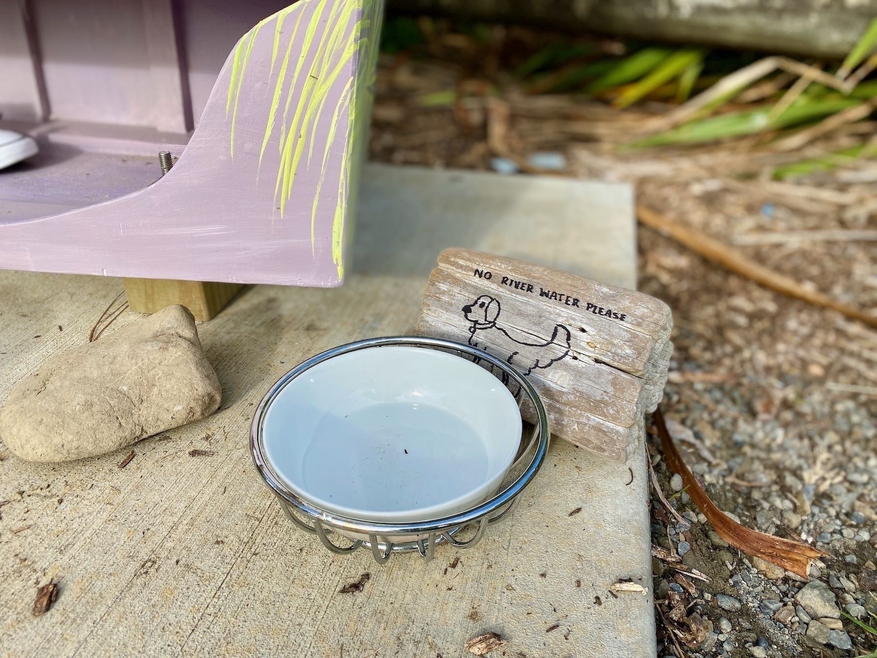 Dog bowl at Awa Pukapuka.  