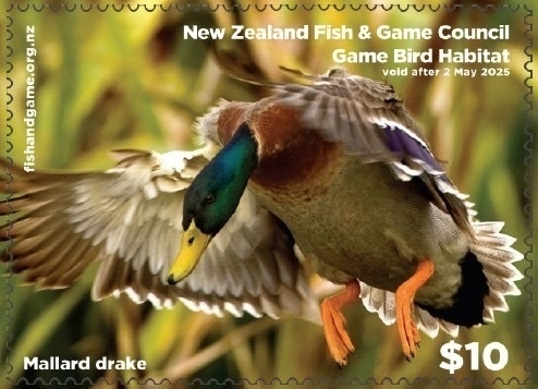 Mallard drake features on hunting licence.