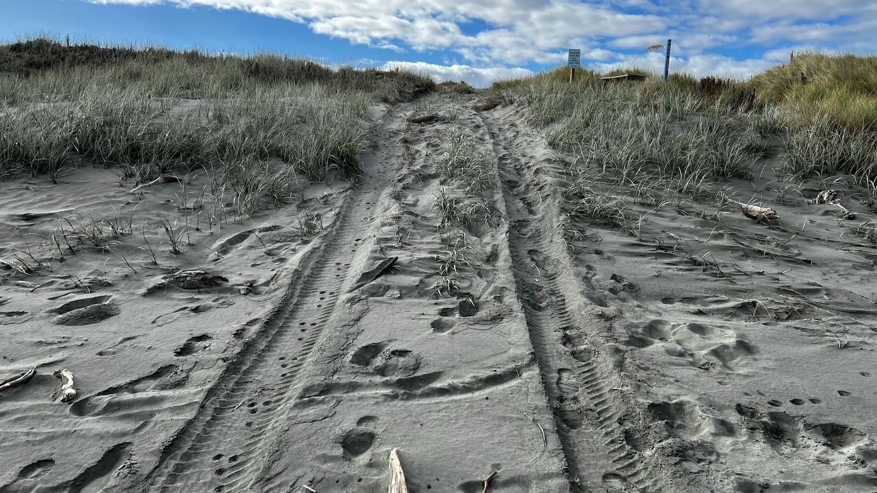 Tire tracks lead into the dunes and past the No Vehicles sign.  