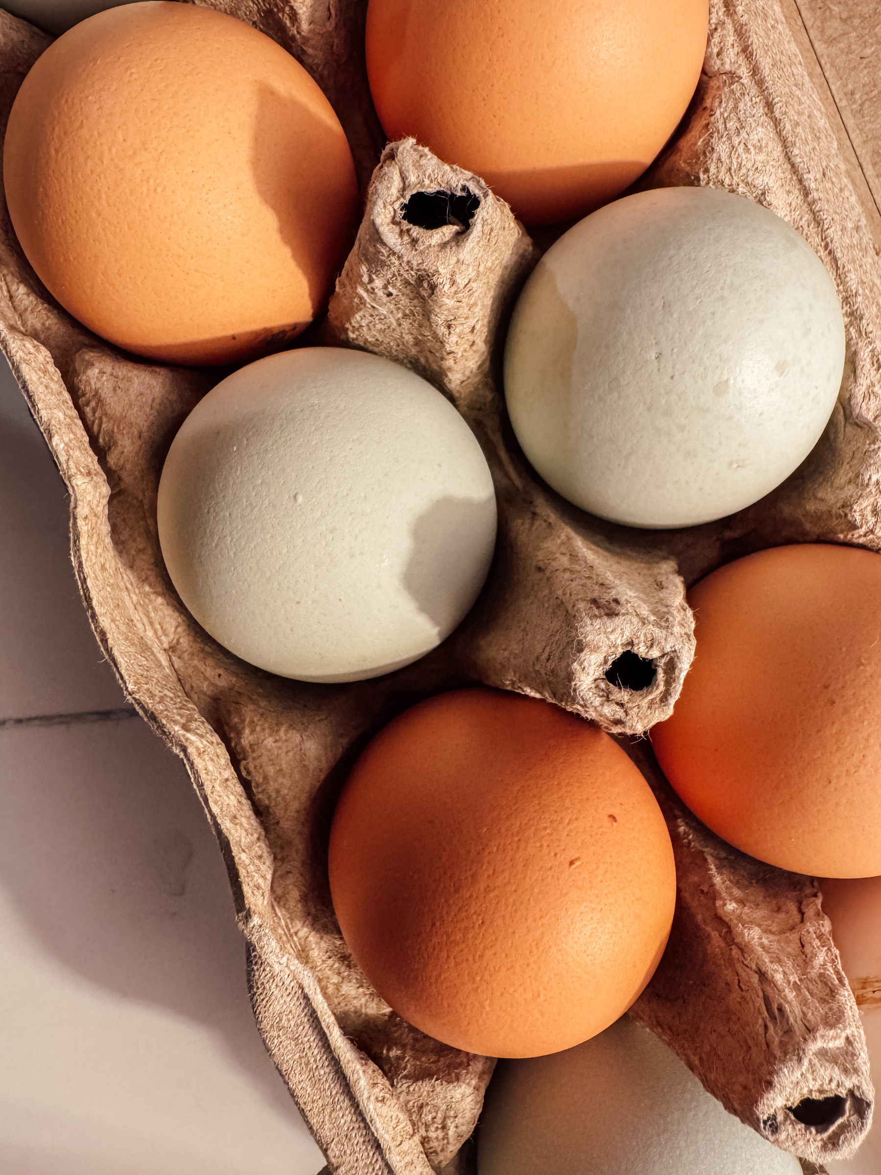 An egg carton holds several brown and blue eggs.