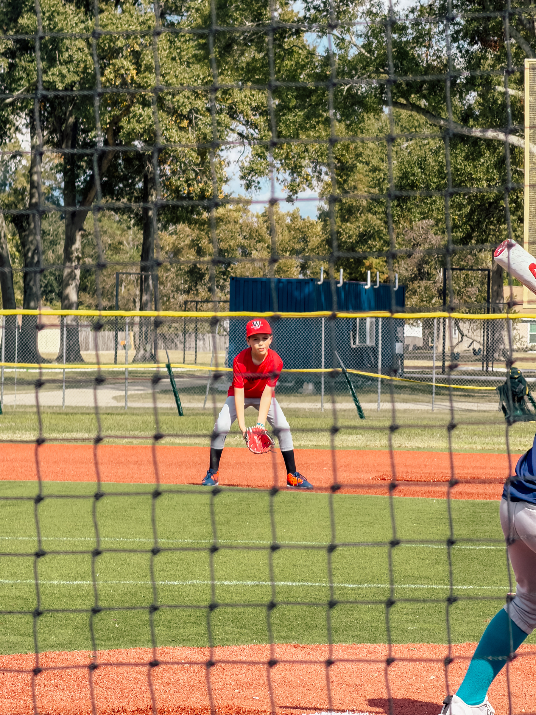 A young baseball player in red is crouched in a ready position, preparing to catch a ball on a field surrounded by a fence and trees.