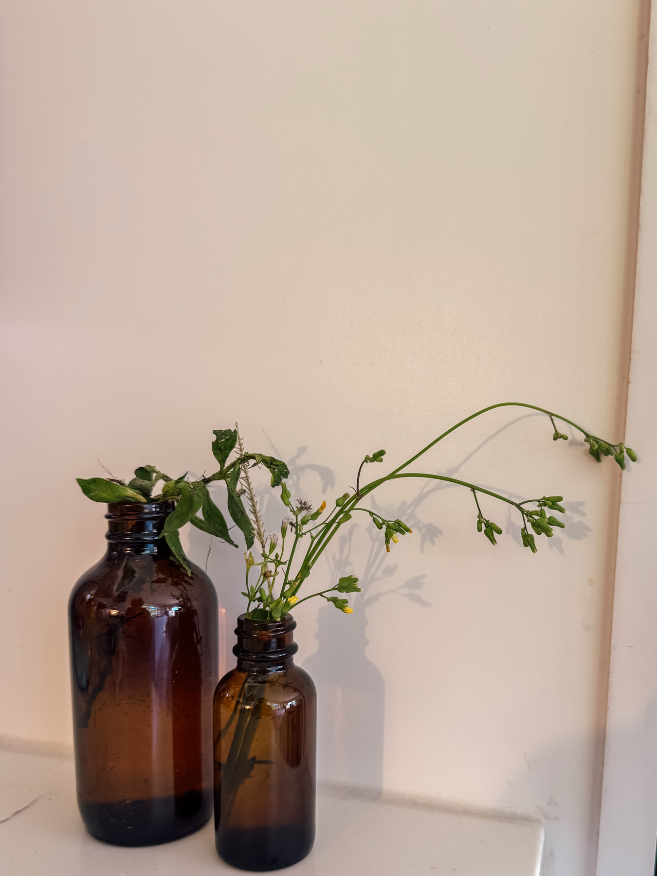 Auto-generated description: Two amber glass bottles hold delicate wildflowers against a plain background.