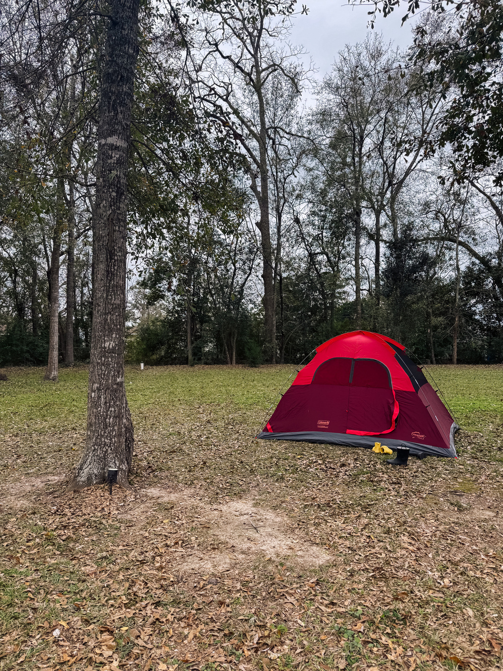 A red and gray tent is set up on a grassy area surrounded by trees.