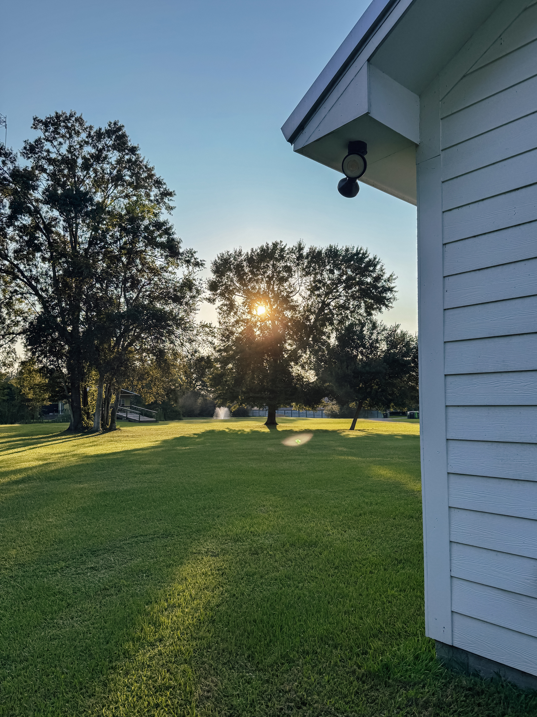 Sunlight filters through the trees, casting long shadows on a neatly mowed lawn beside a white building.