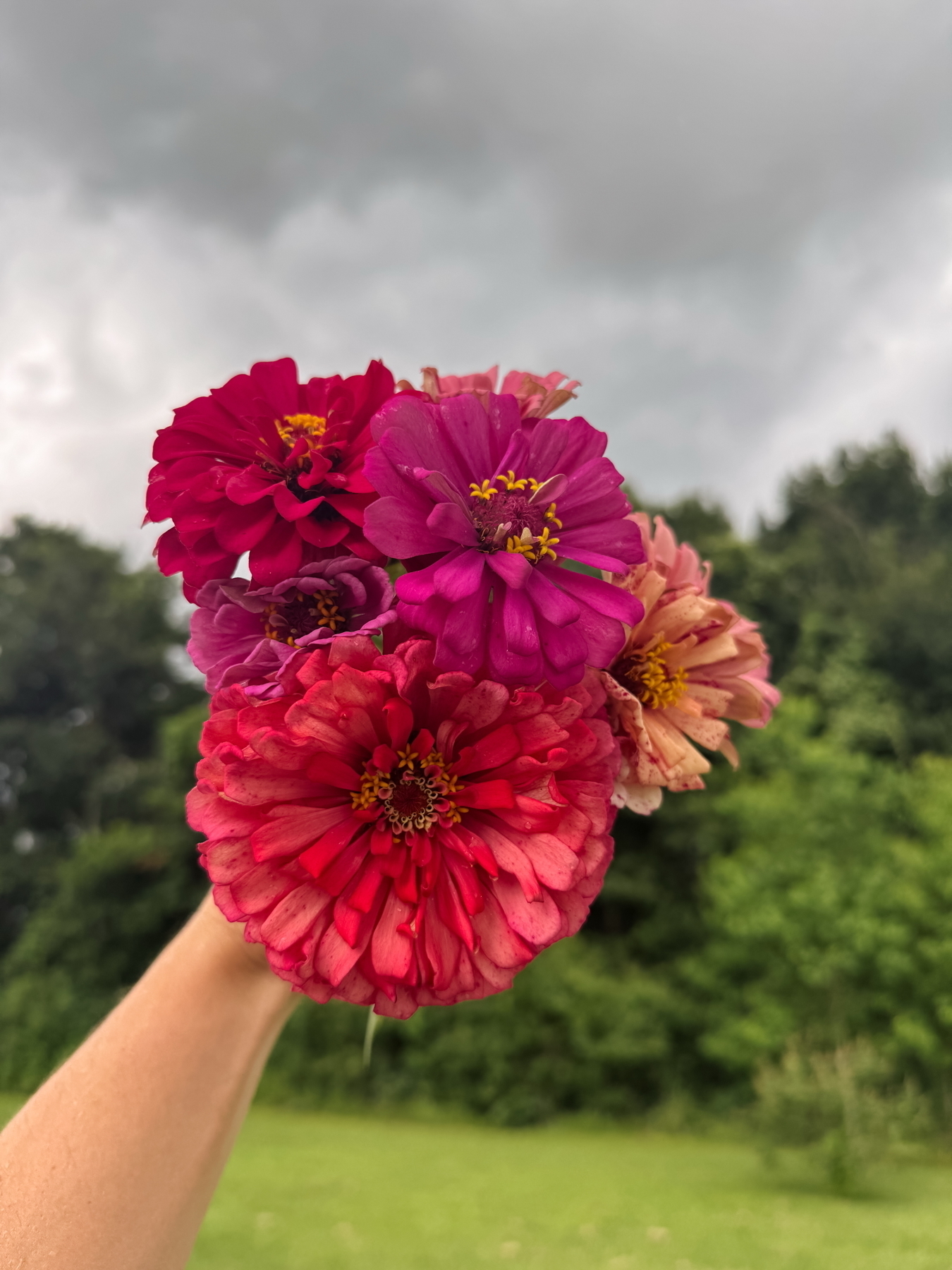 Auto-generated description: A hand holds a vibrant bouquet of pink and red flowers against a backdrop of cloudy skies and lush greenery.