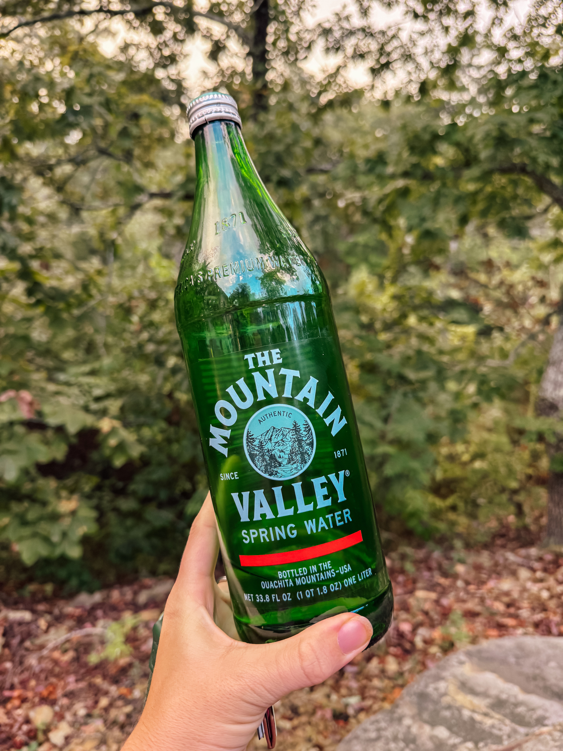 A person is holding a green bottle of Mountain Valley Spring Water outdoors, with a background of trees and foliage.