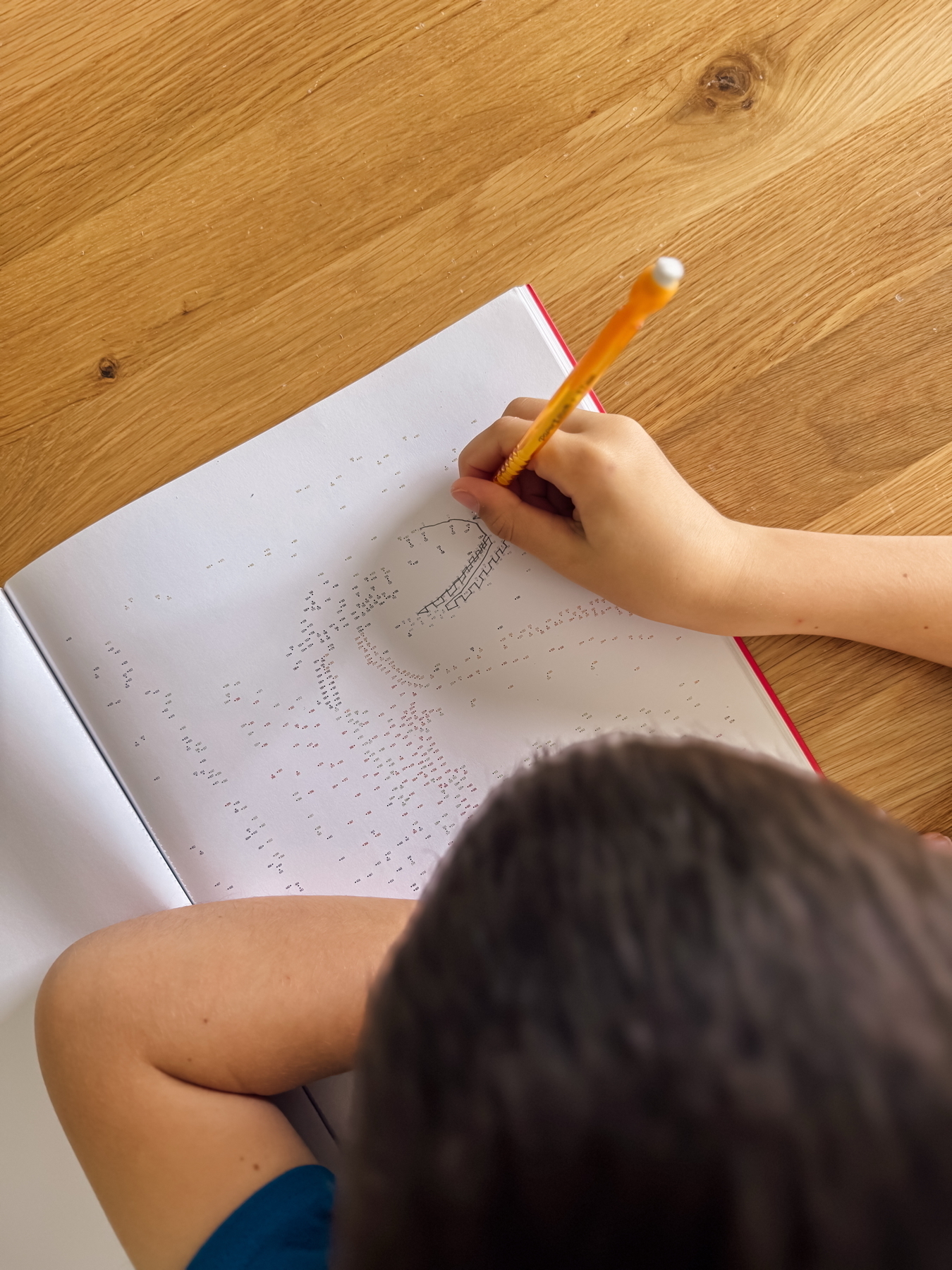 Auto-generated description: A child is completing a dot-to-dot puzzle in a notebook using a pencil.